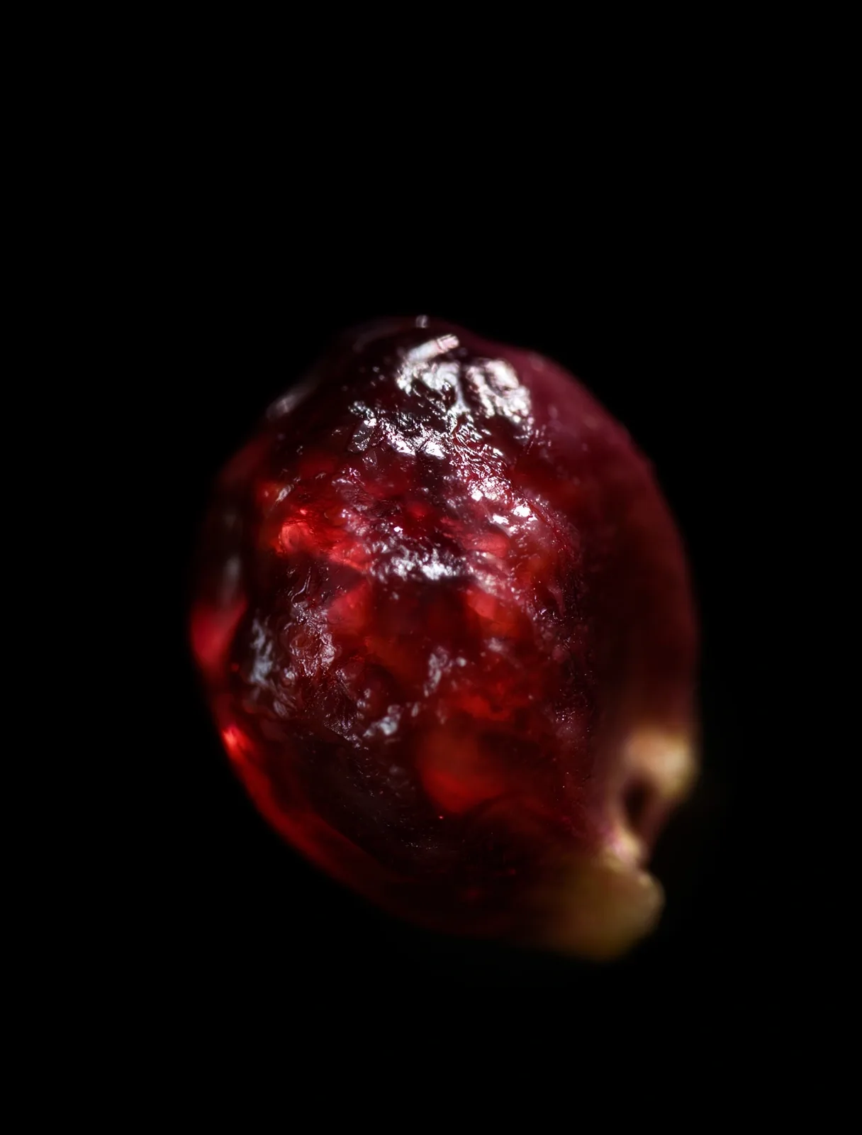 Macro nutritional detail